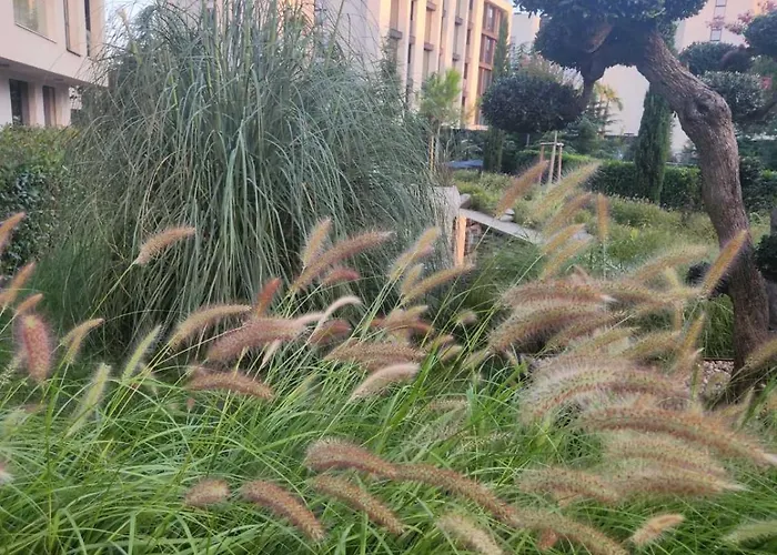 Lili's Azur * Várna