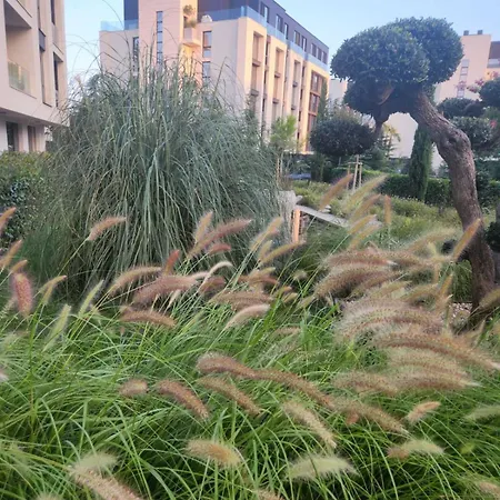 Lili's Azur * Várna